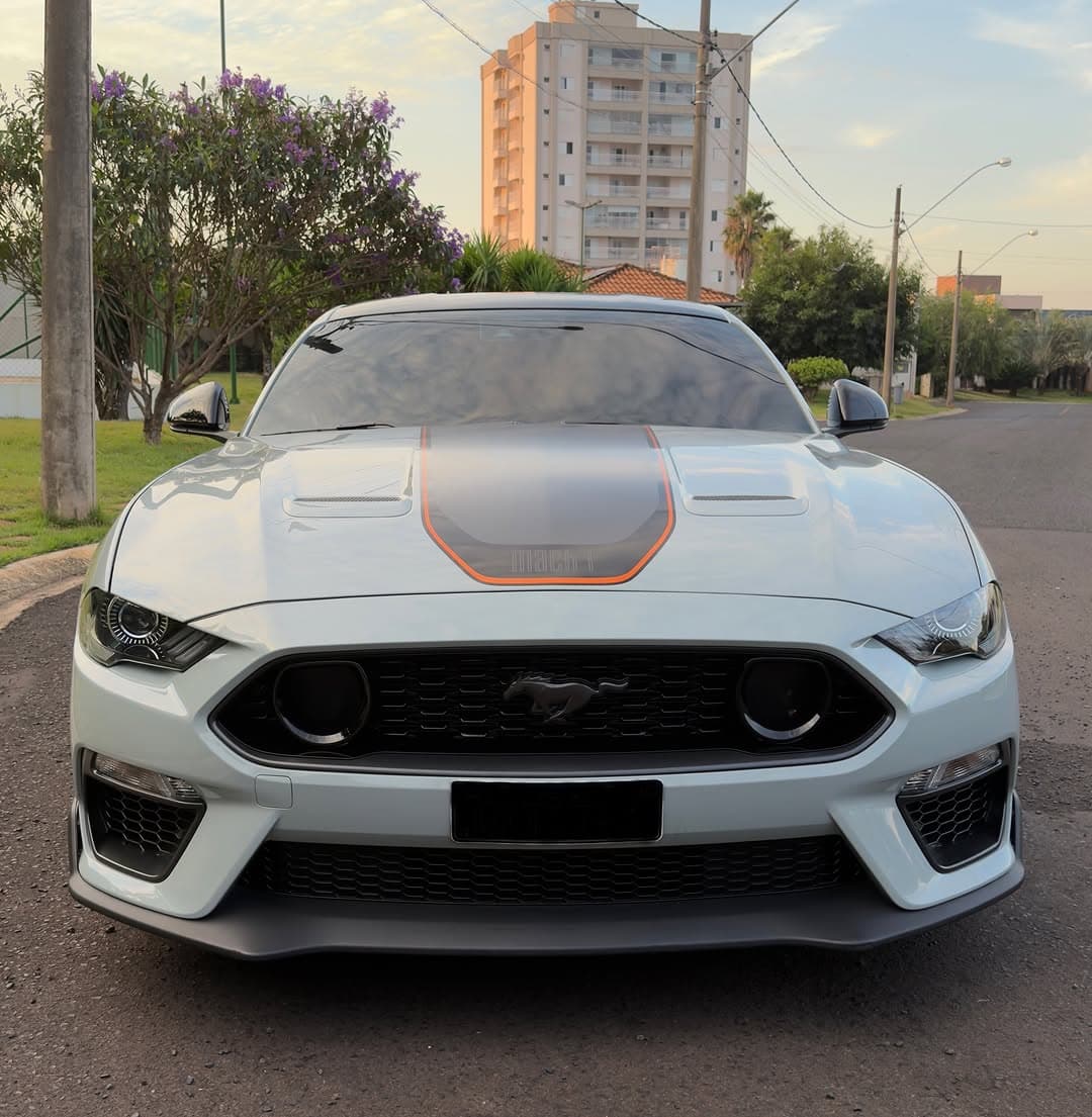 Ford Mustang Mach 1 5.0 V8